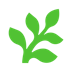 Fern logo
